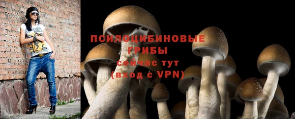 спиды Медвежьегорск