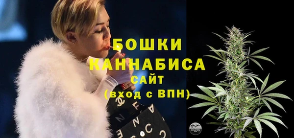 спиды Медвежьегорск