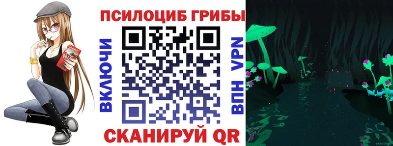 купить наркотики цена  Калач  Псилоцибиновые грибы ЛСД 